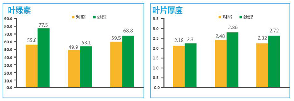 領(lǐng)先生物“海藻+氮磷鉀+腐植酸”讓果樹旺起來